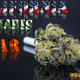 Illustration for article titled California’s Cannabis War, For Unlicensed Farmers, A Summer Of Reckoning Has Arrived.
